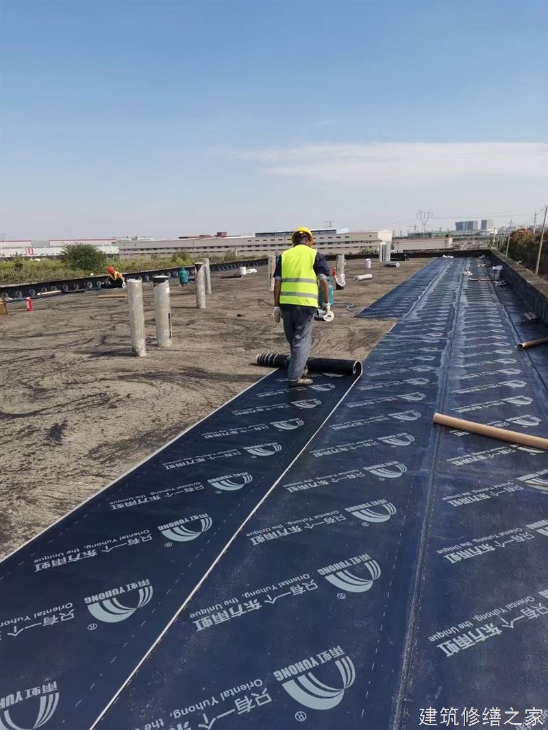 肇庆2026鼎湖区 建筑更新服务 有没有正规资质